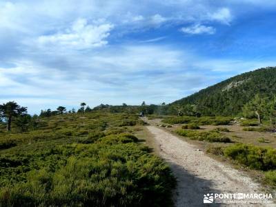 Siete Picos:Senda Herreros,Camino Schmid(Schmidt); excursiones organizadas desde madrid;garganta div